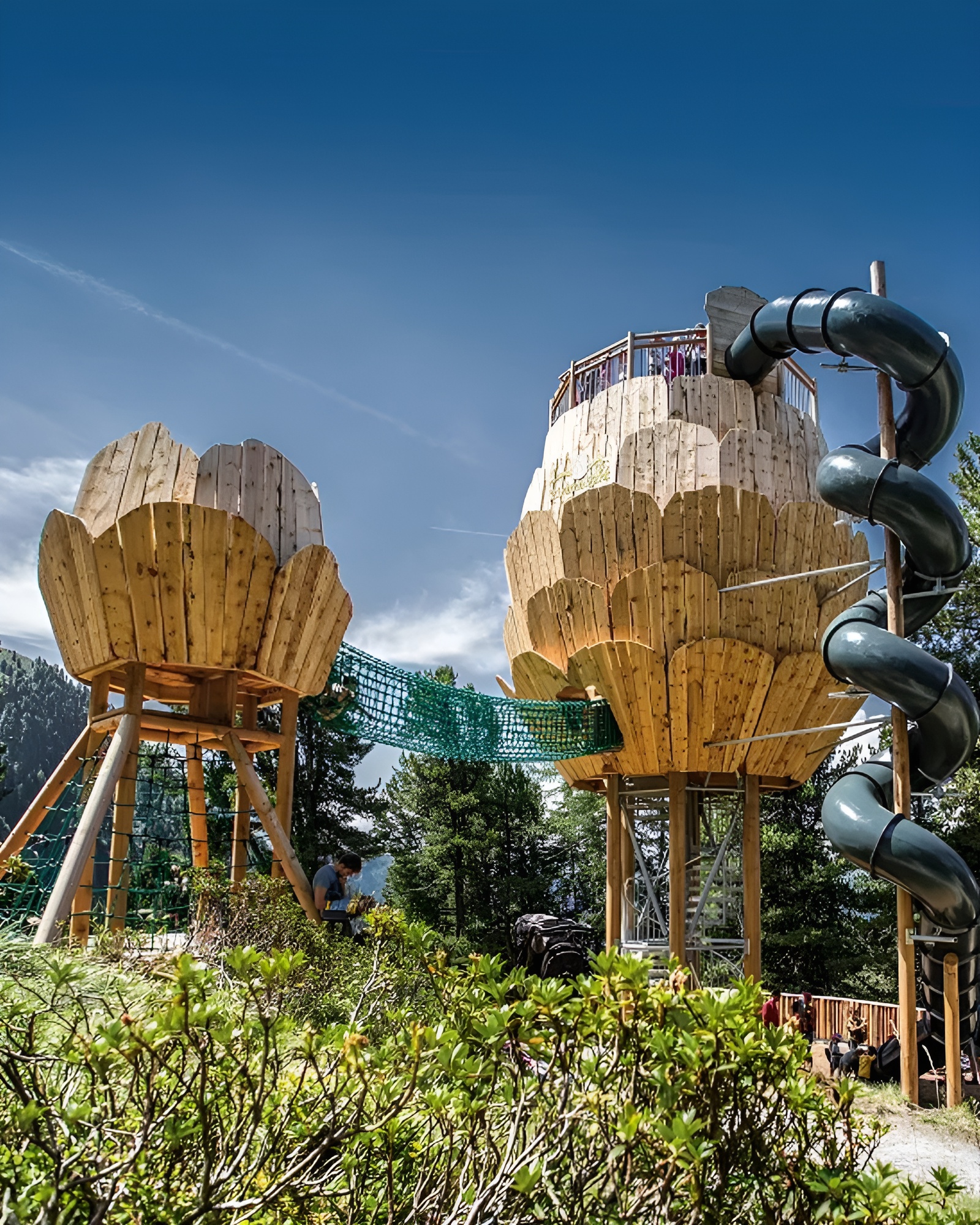 Zirbenpark am Hochzeiger